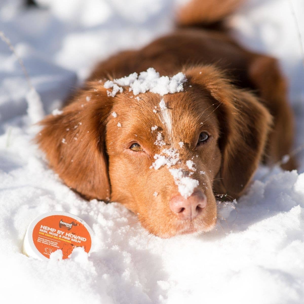 Skin, Nose & Paw Balm with added Sun Protection
