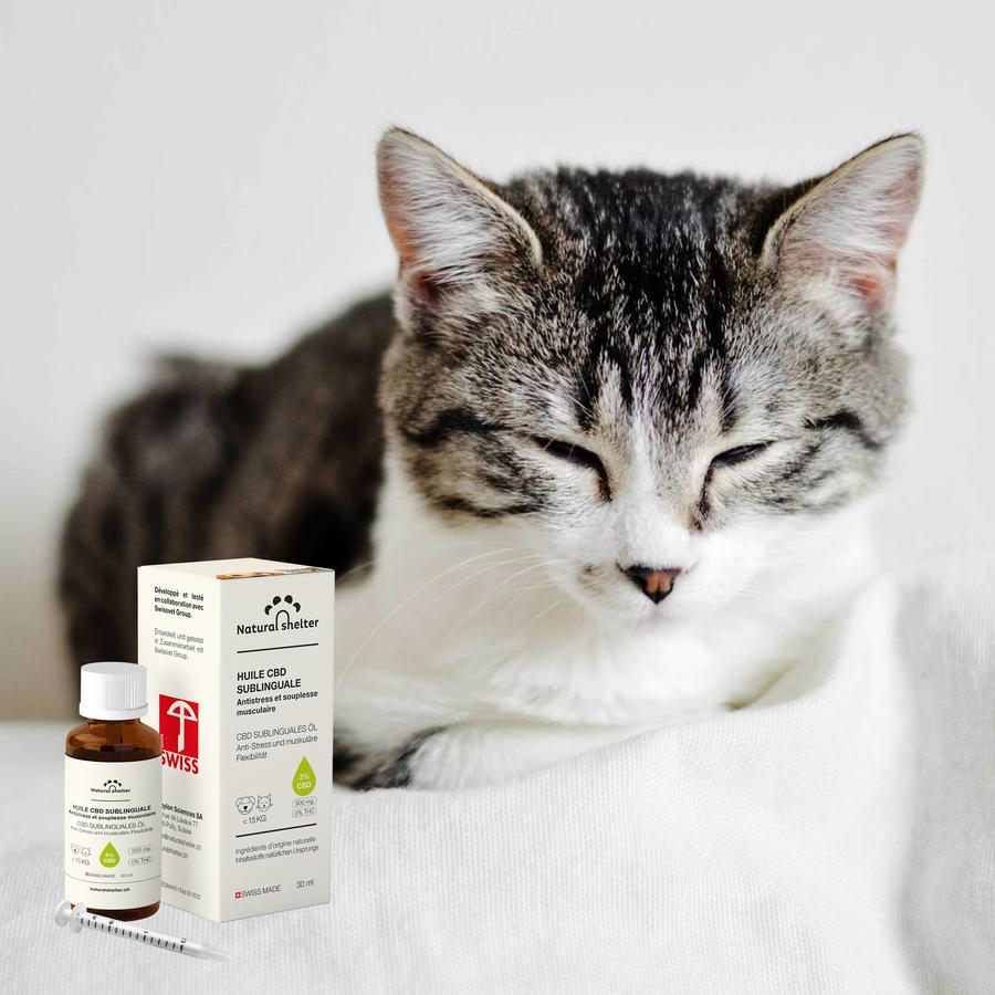 Huile de chanvre (3 %) pour chiens et chats de moins de 15 kg