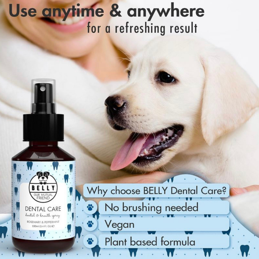 Spray soins dentaires pour chiens